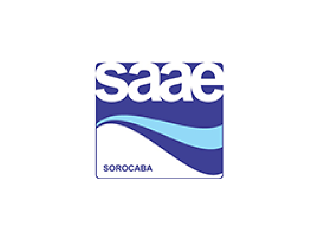 Logo saae